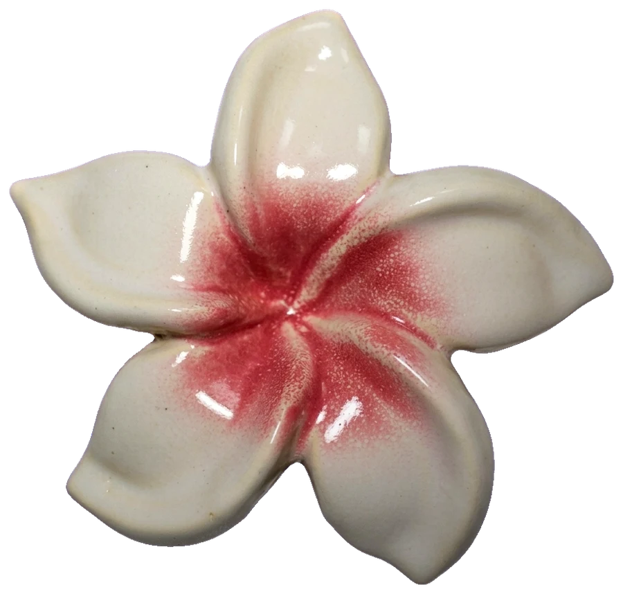 Frangipani